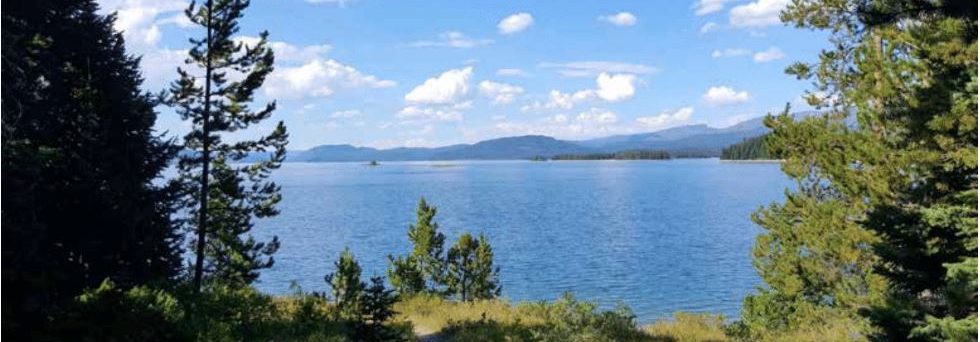 Pillar To Post Newsletter  VOLUME 22, NO. 3